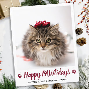 Budget Happy PAWlidays Chat Pet photo Noël