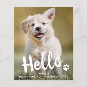 Budget Hello New Pet Photo Chien Chien Faire-part