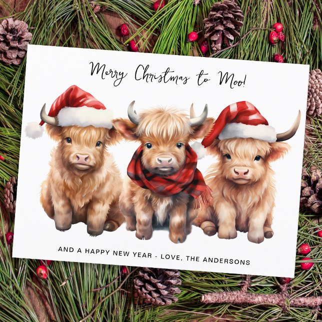 Budget Highland Cow Calf Joyeux Noël (Créateur téléchargé)
