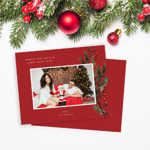 Budget Holly Berry H Photo Fêtes ou Noël R