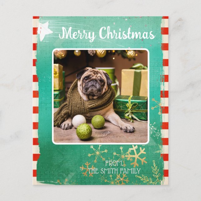 Budget Joyeux Noël Photo d'animal (Devant)