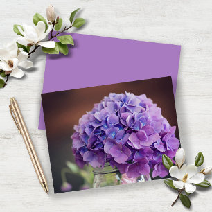 Budget Lavande Purple Hydrangea