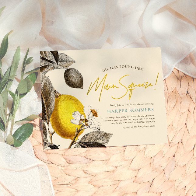 Budget Moderne & Vintage Squeeze Mariage Shower (Créateur téléchargé)