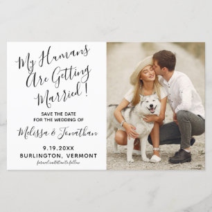 Budget Mon Humain Se Marie Mariage De Chien