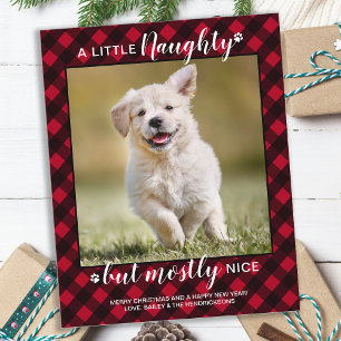 Budget Naughty Nice Animal Photo Red Plaid Holiday