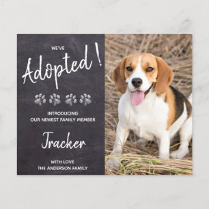 Budget Nous avons adopté Secourt de chien Nouveau