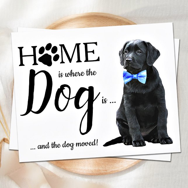 Budget Nous avons déménagé de mignons chiens de Fa (Créateur téléchargé)