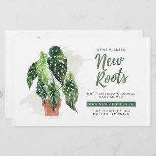 Budget Nous avons déplacé des racines Moving Faire