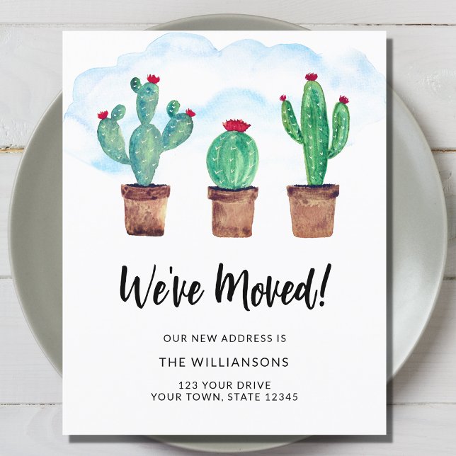 Budget Nous avons déplacé les cactus (Créateur téléchargé)