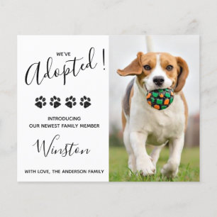 Budget Nouveau animal de compagnie Nous avons adop