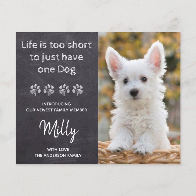 Budget Nouveau animal de compagnie Nouveau Faire-p (Devant)