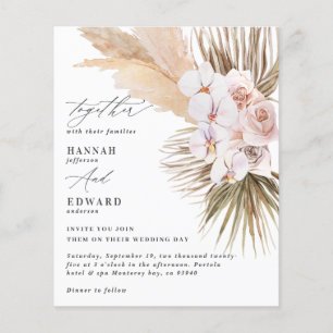 budget pampas herbe feuillage orchidée rustique ma