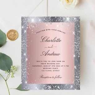 Budget parties scintillant rose argent élégant mar