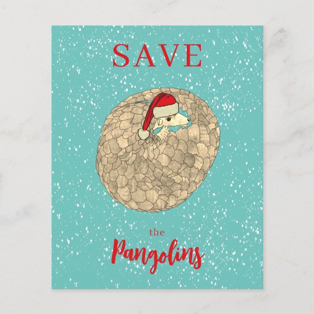 Budget personnalisé de Noël pour Pangolin mignon (Devant)