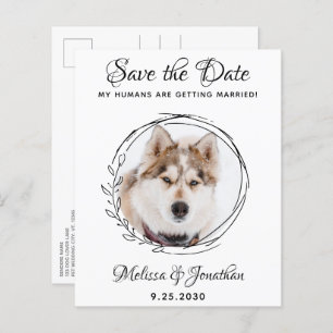Budget Pet Chien Mariage Botanique Enregistrer La 
