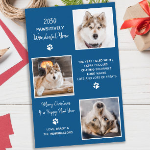 Budget Pet Chien photo mignon année en examen vaca