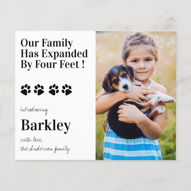 Budget Photo Chien Chien Chien Chien Nouveau Anima (Devant)