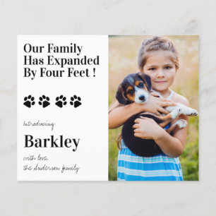 Budget Photo Chien Chien Chien Chien Nouveau Anima