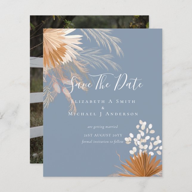 BUDGET Photo Dates d'enregistrement PAMPAS Grass T (Devant / Derrière)