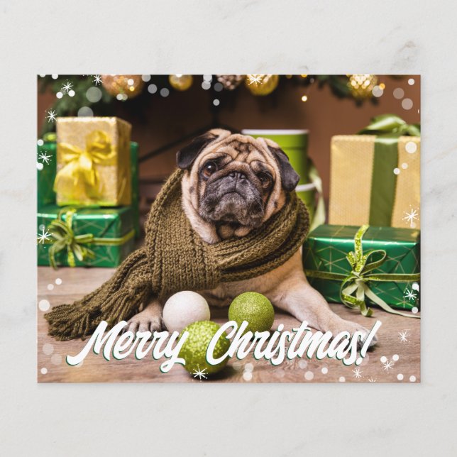 Budget Photo moderne (Devant)