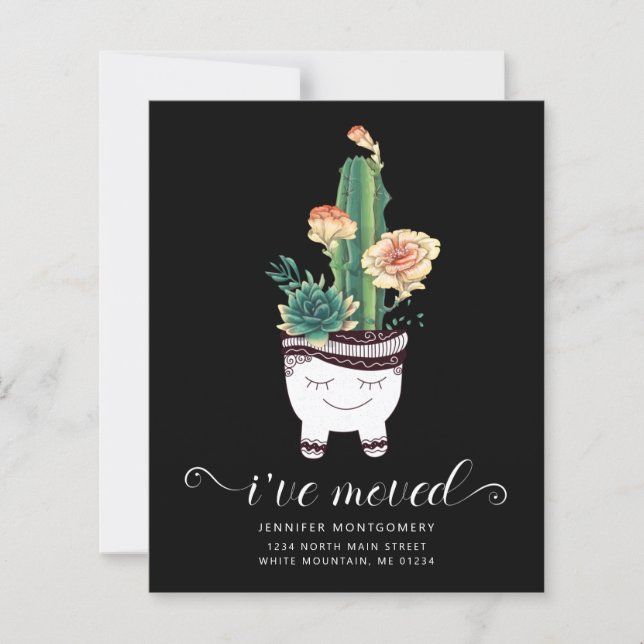 Budget Rose Succulents Pot Déplacement Annouement (Devant)