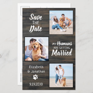Budget Rustic 3 Photo Chien Mariage Enregistrer La