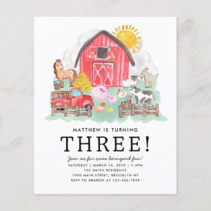 Budget Rustic Barnyard Animaux Enfants Ferme Anniv
