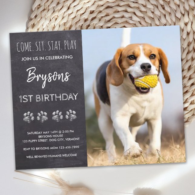 Budget S'Asseoir Rester Chalkboard Chien Chien Chi (Créateur téléchargé)