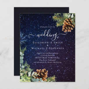 BUDGET Starry Night Winter Wedding Budget