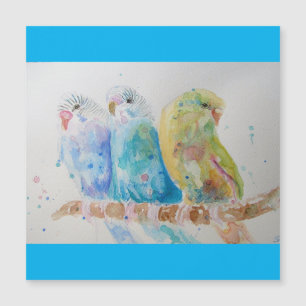 Budgie Aquarelle Peinture d'oiseau Budgies Aqua Tu