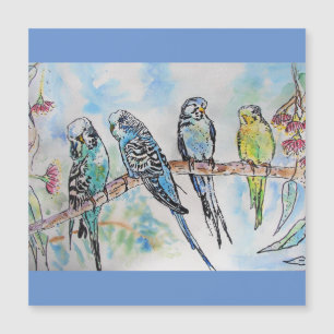 Budgie Budgies Carte Oiseau de peinture aquarelle