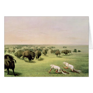 Buffalo de chasse camouflé