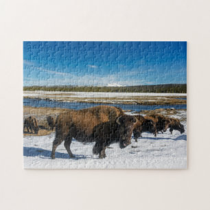 Buffalo de Yellowstone de puzzle