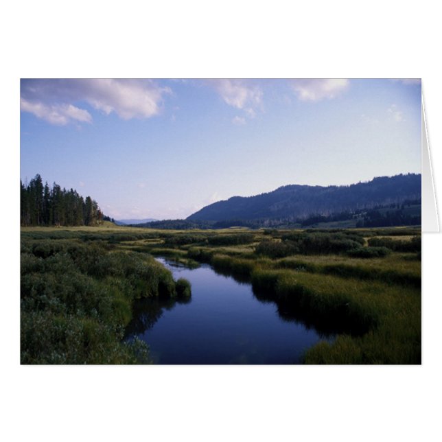 Buffalo River, North Fork Wy. (Devant horizontal)