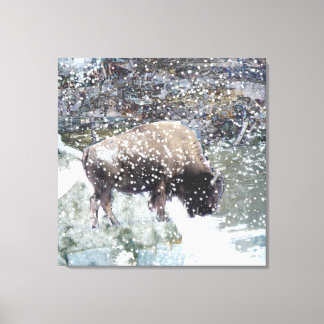 Buffle dans la toile enneigée enneigée Imprimer
