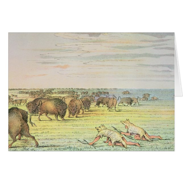 Buffle de égrappage (Devant horizontal)