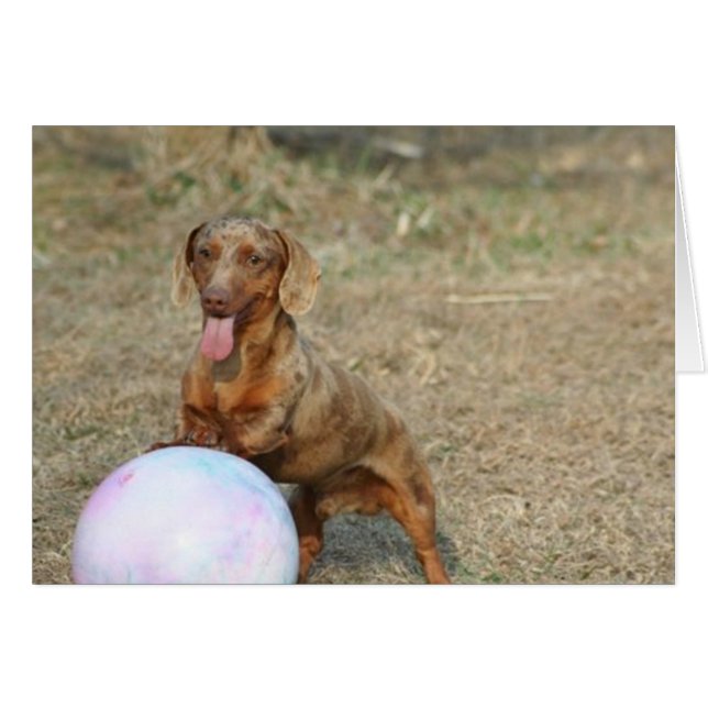 Buford 1 (Devant horizontal)