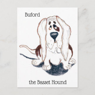 Buford la carte postale du basset hound