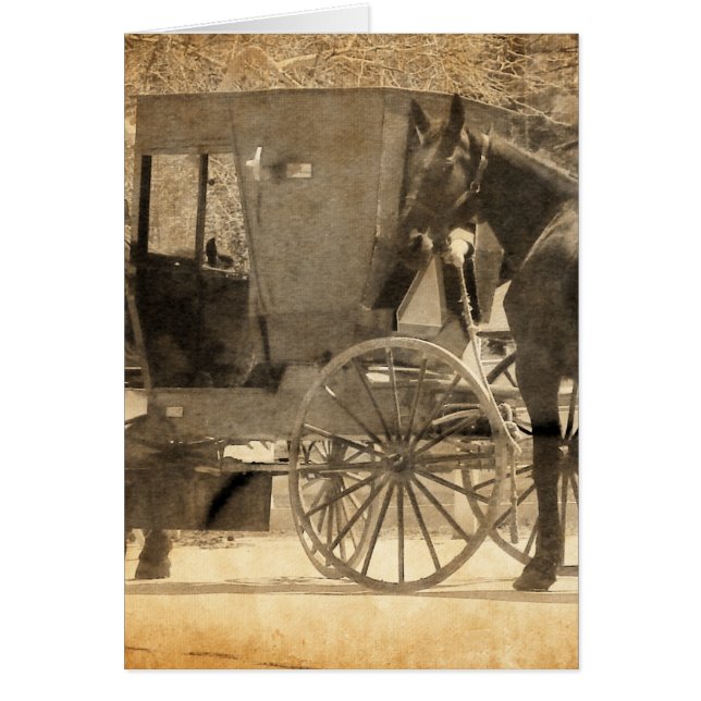 Buggy Avant Le Cheval, Amish Ramenez Le Nouveau Ch (Devant)