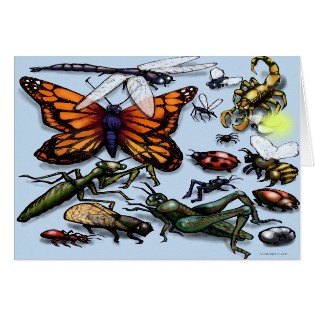 Bugs (Devant horizontal)