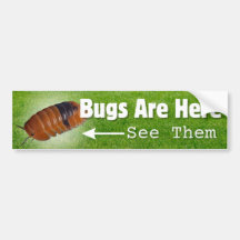 Bugs Are Here...Isopod Edition Bumper Sticker