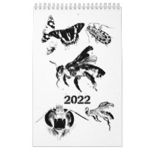 Bugs World - Insects - Calendrier 2022