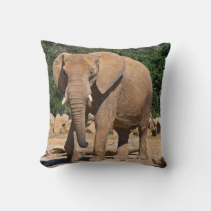 Bull Elephant Coussin