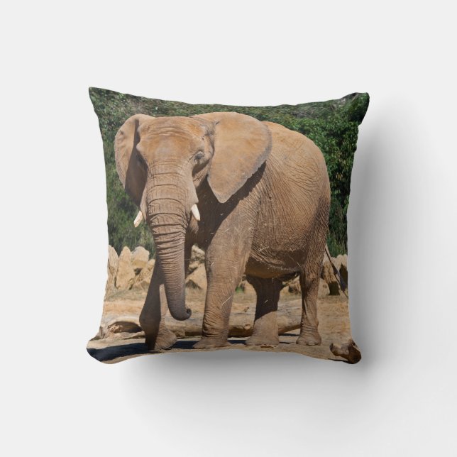 Bull Elephant Coussin (Recto)