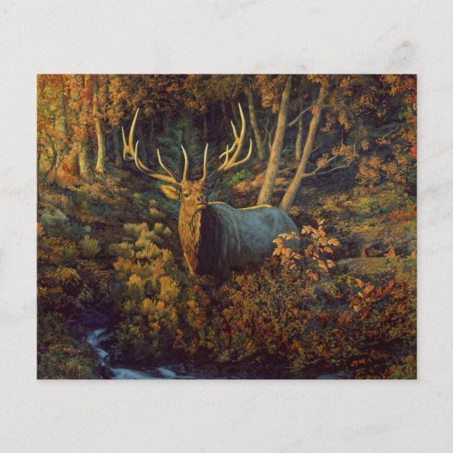 Bull Elk dans la forêt d'automne (Devant)