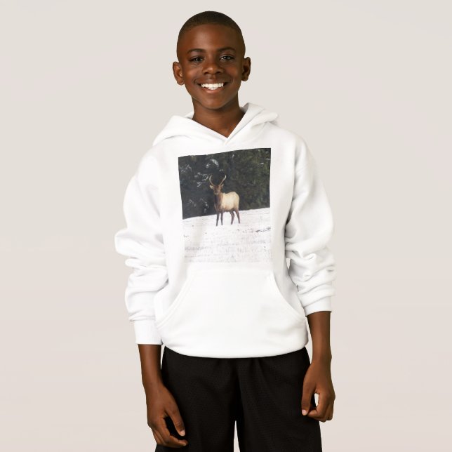 Bull Elk en hiver (Devant entier)