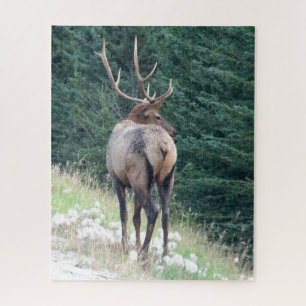 Bull Elk Jigsaw Puzzle