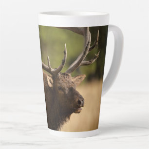 Bull Elk Latte Mug