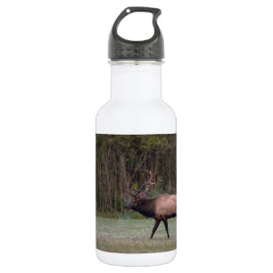 Bull Elk Marche matinale Bouteille d'eau en acier
