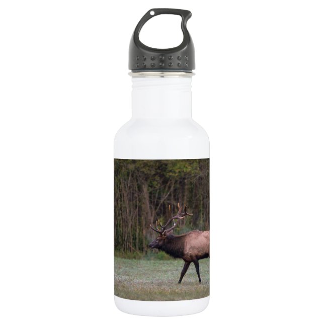 Bull Elk Marche matinale Bouteille d'eau en acier  (Devant)